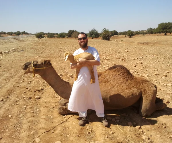 Camel and goat near Essaouira