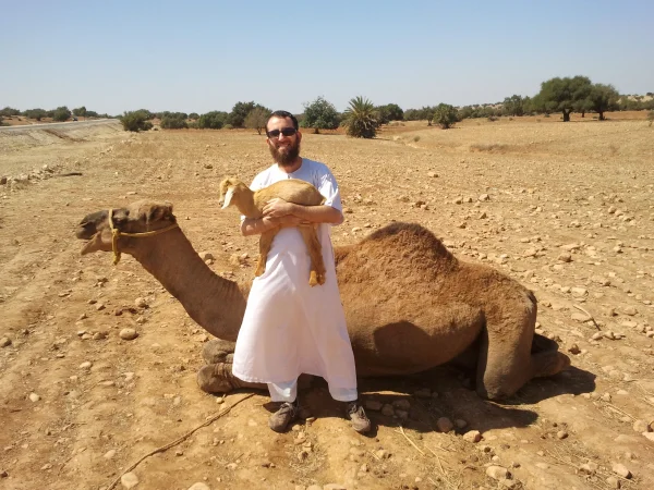 Camel and goat near Essaouira