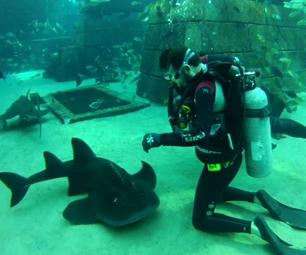Dubai Atlantis scuba diving with sharks